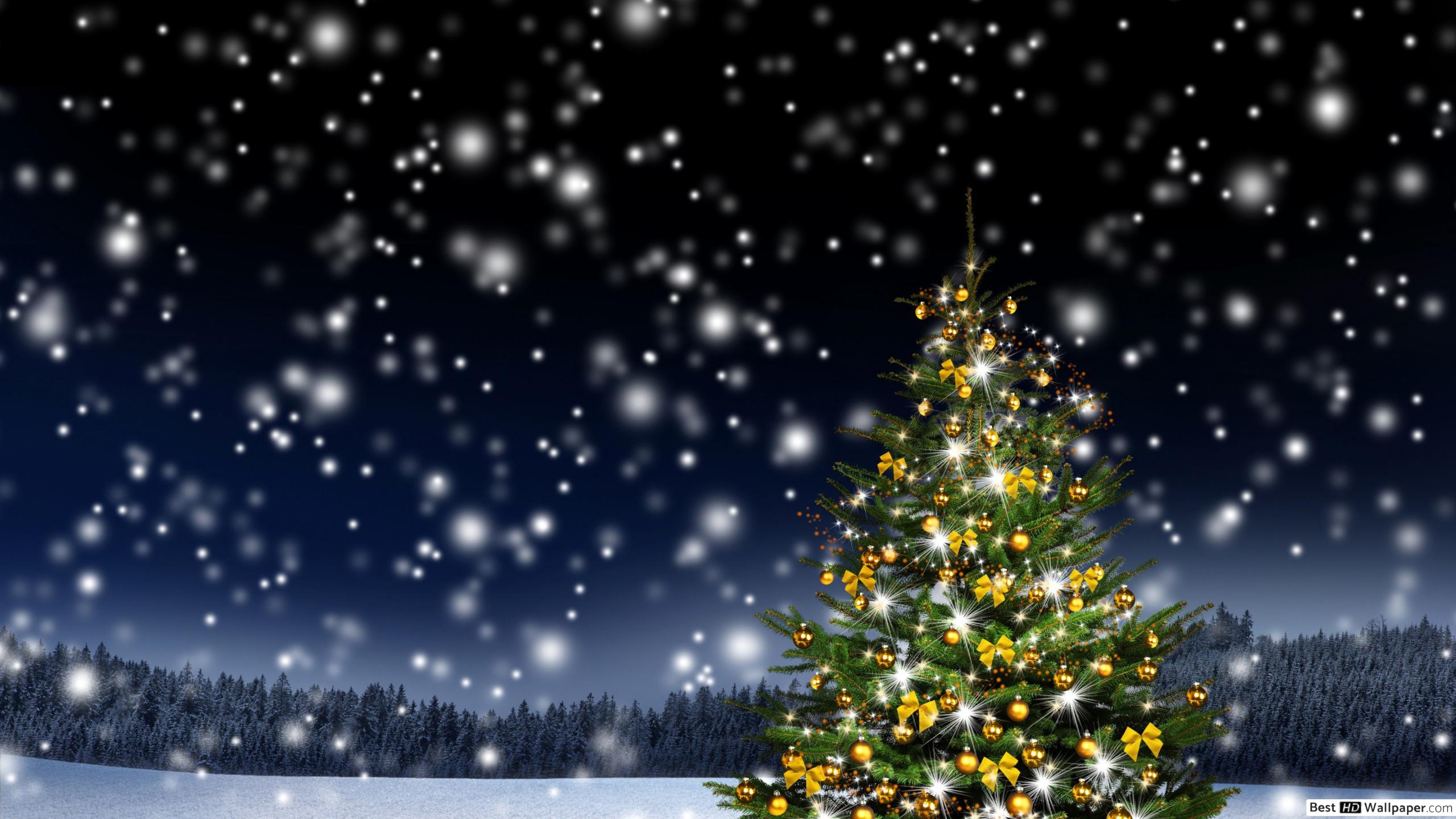 Snow And Christmas Lights - HD Wallpaper 