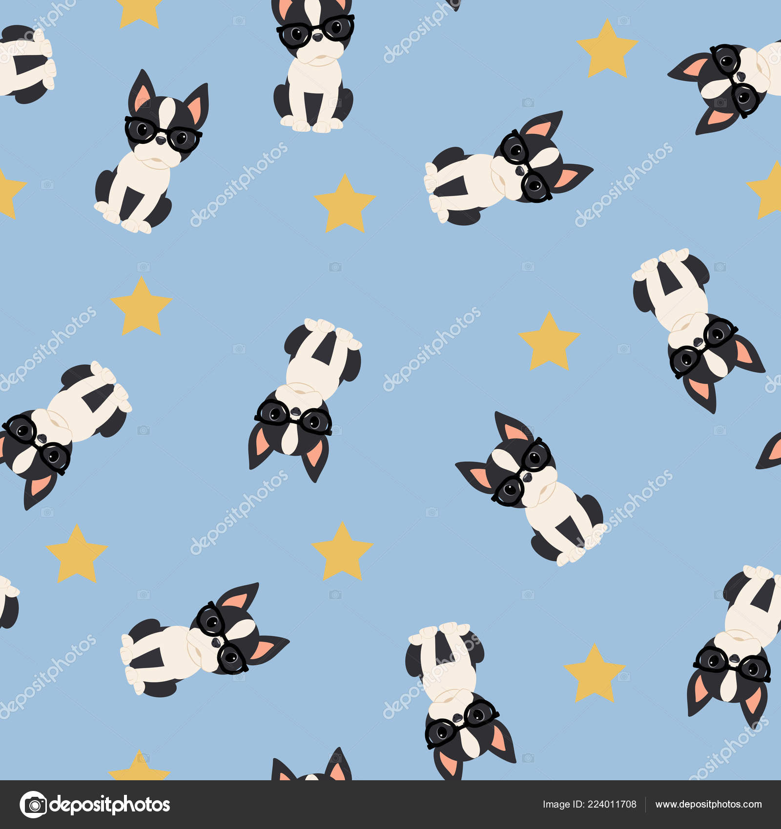 Boston Terrier - HD Wallpaper 