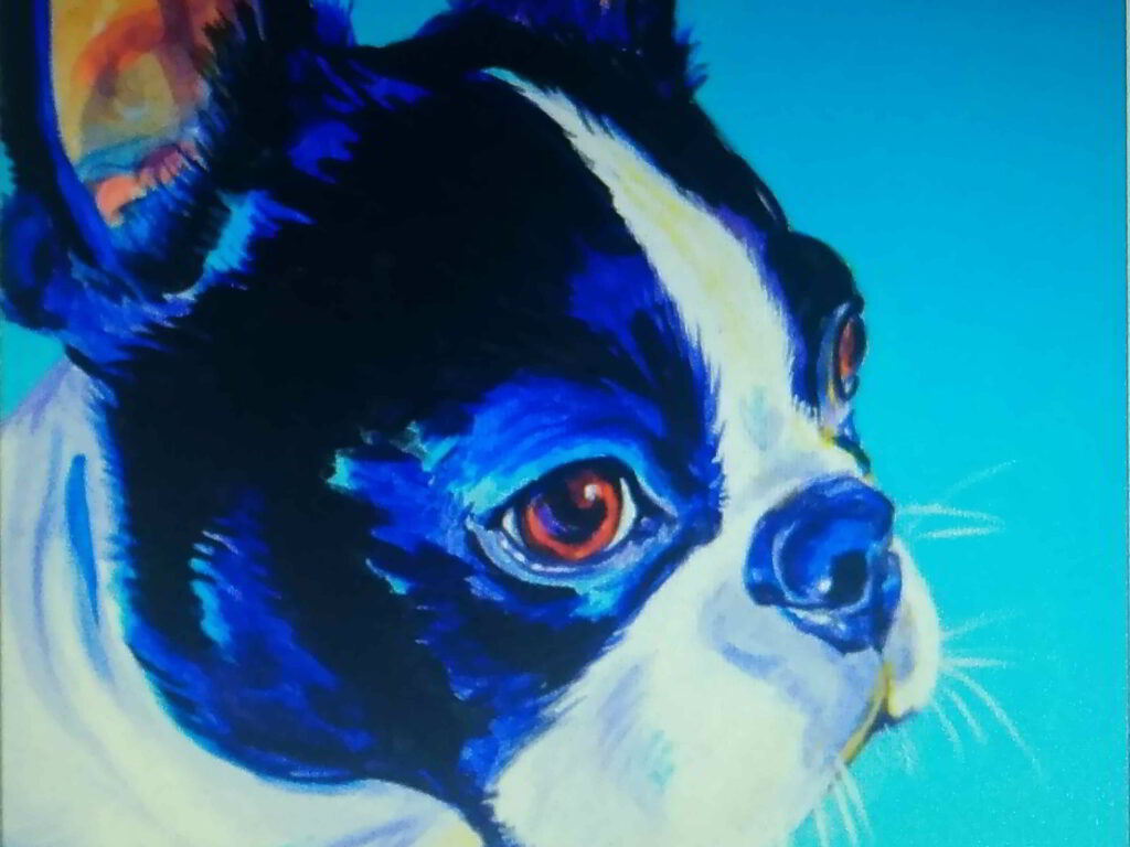 Boston Terrier Drawings Cute Black And White Fur - Boston Terrier - HD Wallpaper 