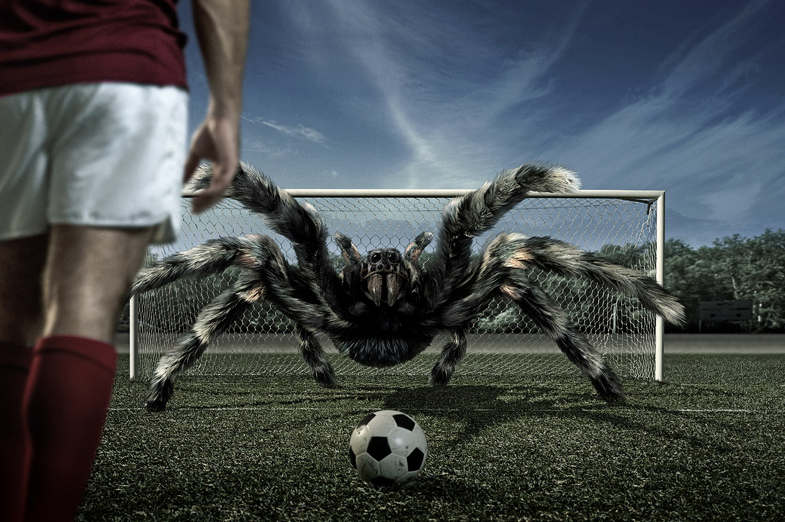 Surreal Spider Art - HD Wallpaper 