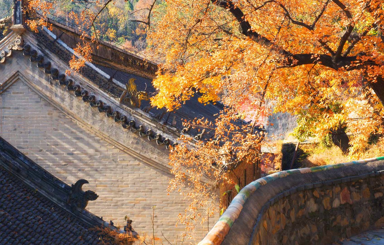 Photo Wallpaper Roof, Autumn, House, China, Beijing - Осень Пекин - HD Wallpaper 
