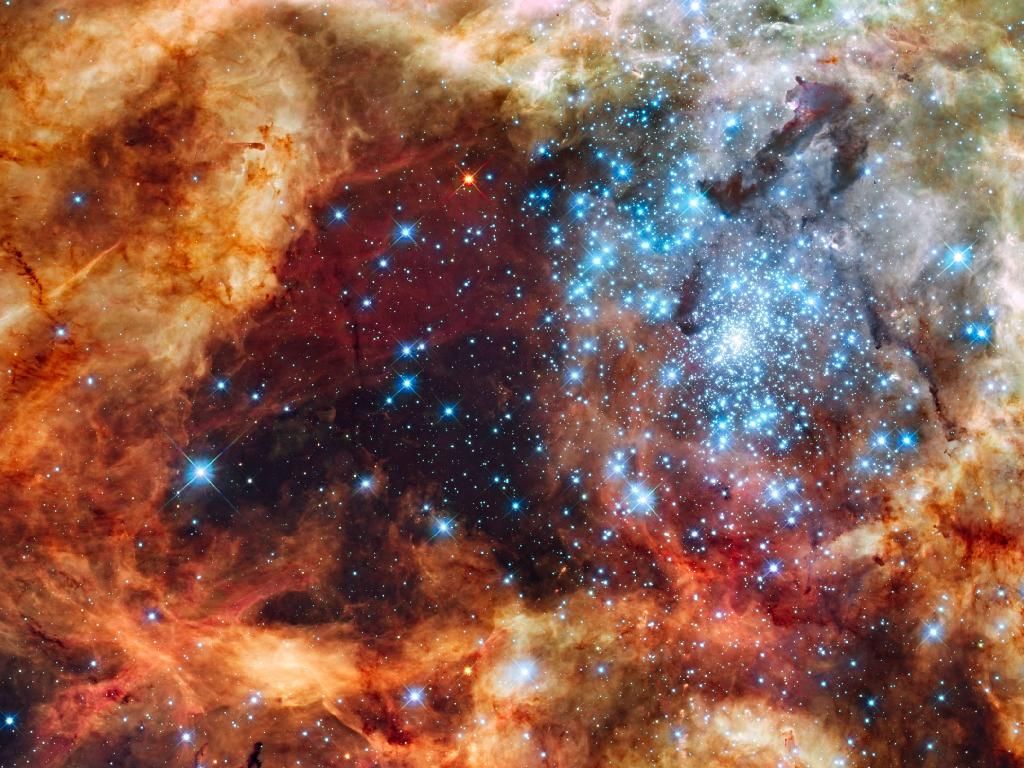 Tarantula Nebula - HD Wallpaper 