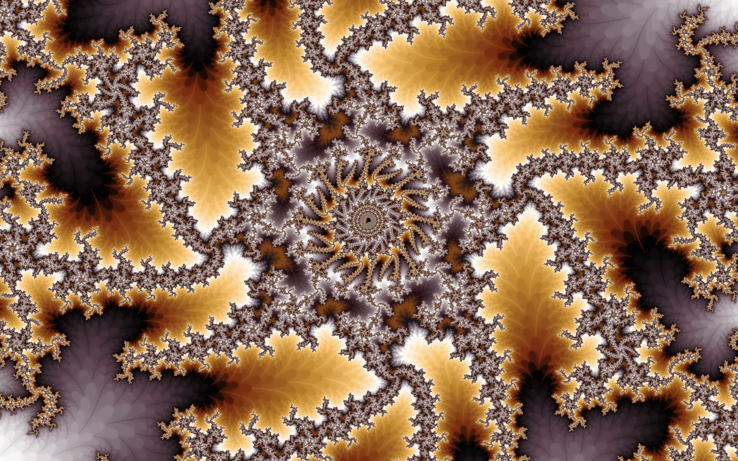 Estrella De Mar Fractal - HD Wallpaper 