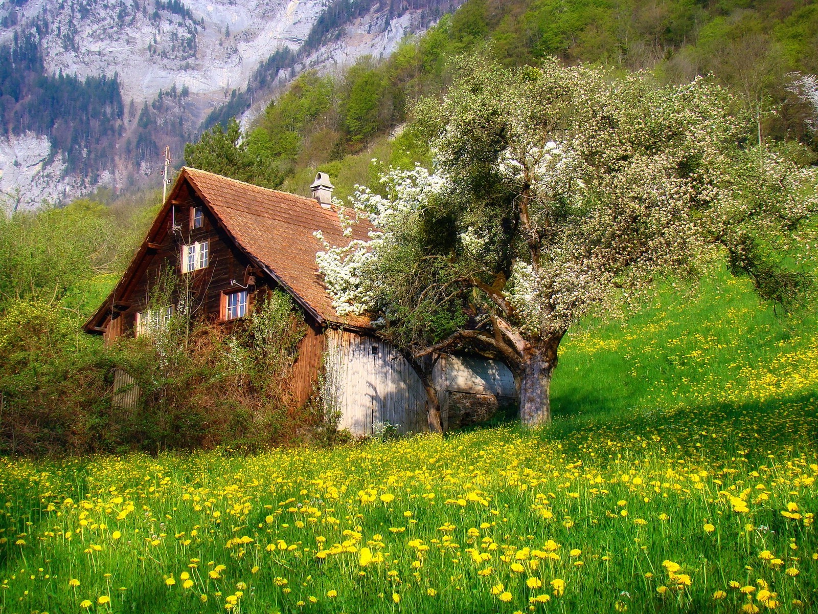 Spring In Swiss Alps - HD Wallpaper 