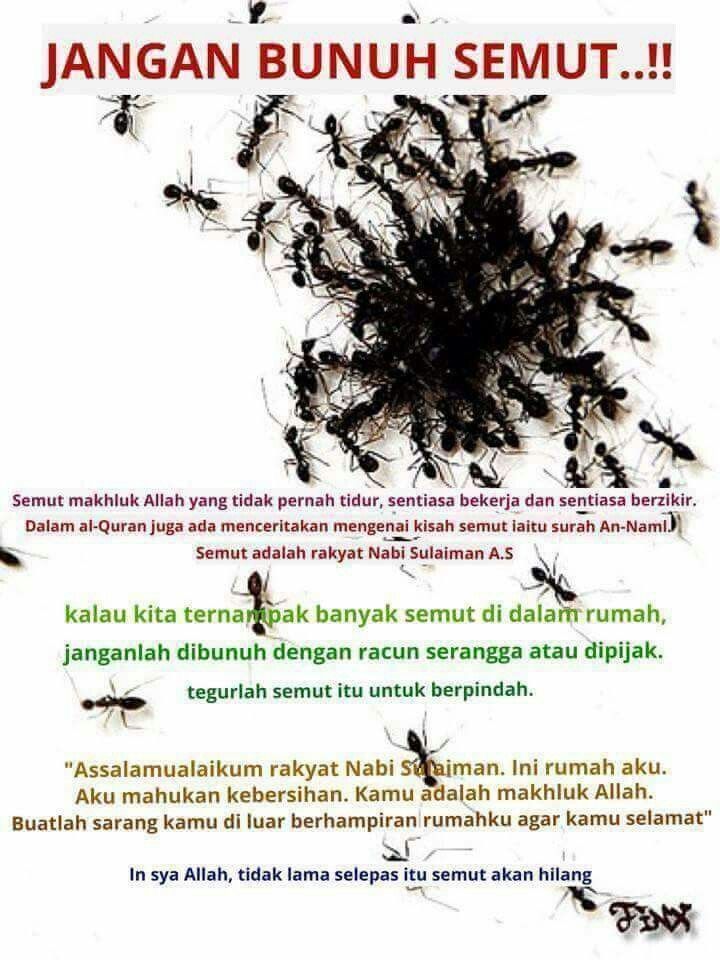 Desain Kaos 3d Keren - HD Wallpaper 