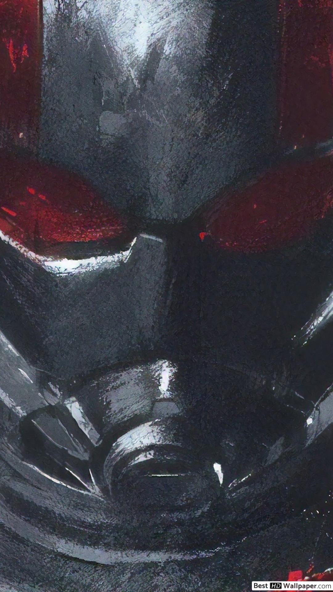 Ant Man Wallpaper Endgame - HD Wallpaper 