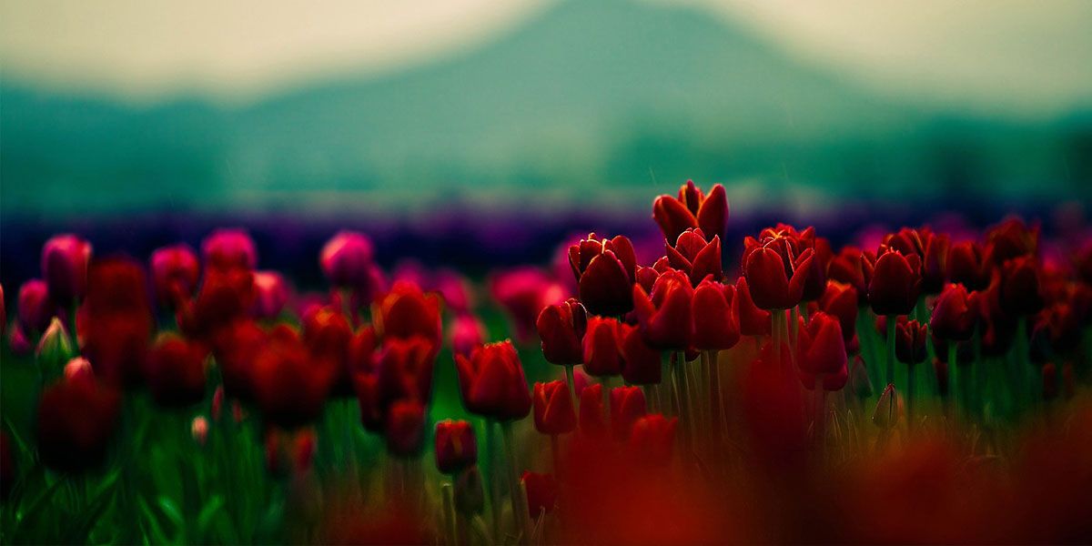 New And Good Thoughts - HD Wallpaper 