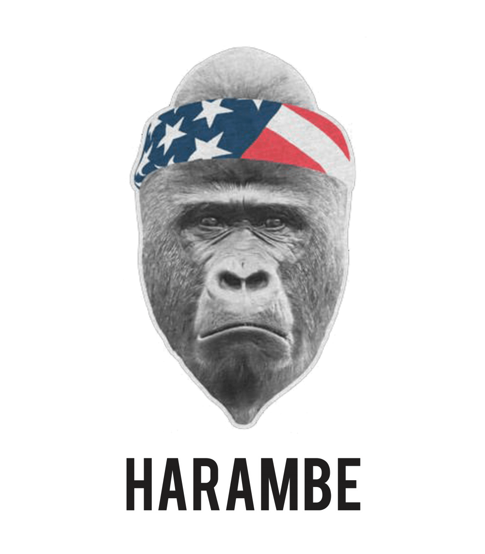 Harambe Face Png - HD Wallpaper 