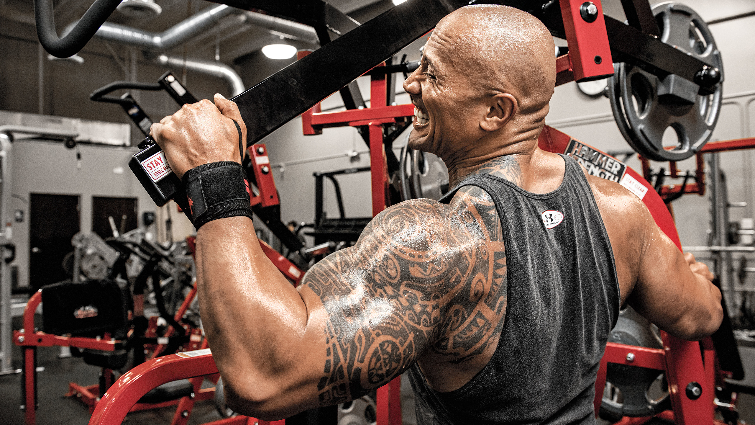 Dwayne Johnson - HD Wallpaper 
