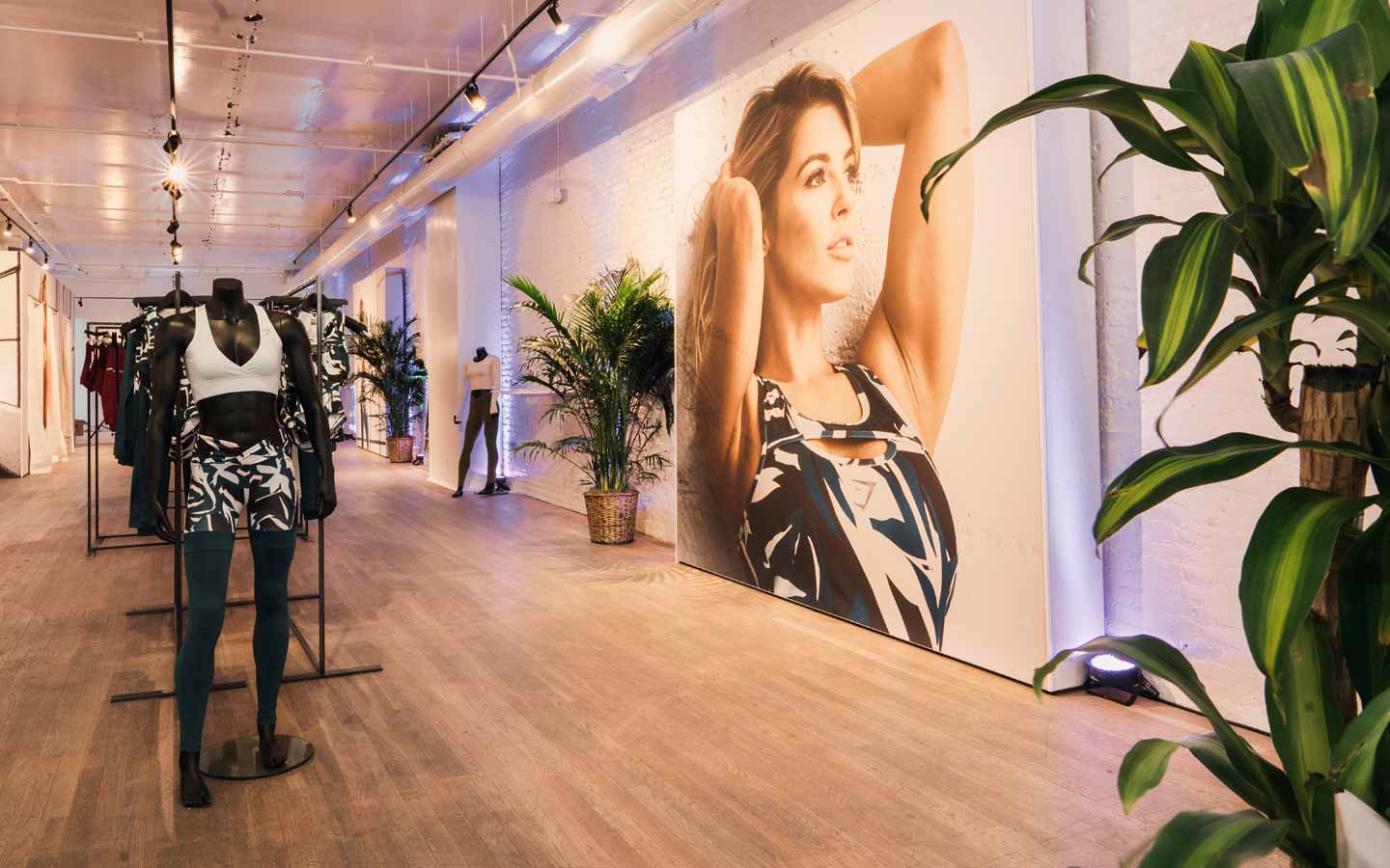 Gymshark Popup Store - HD Wallpaper 