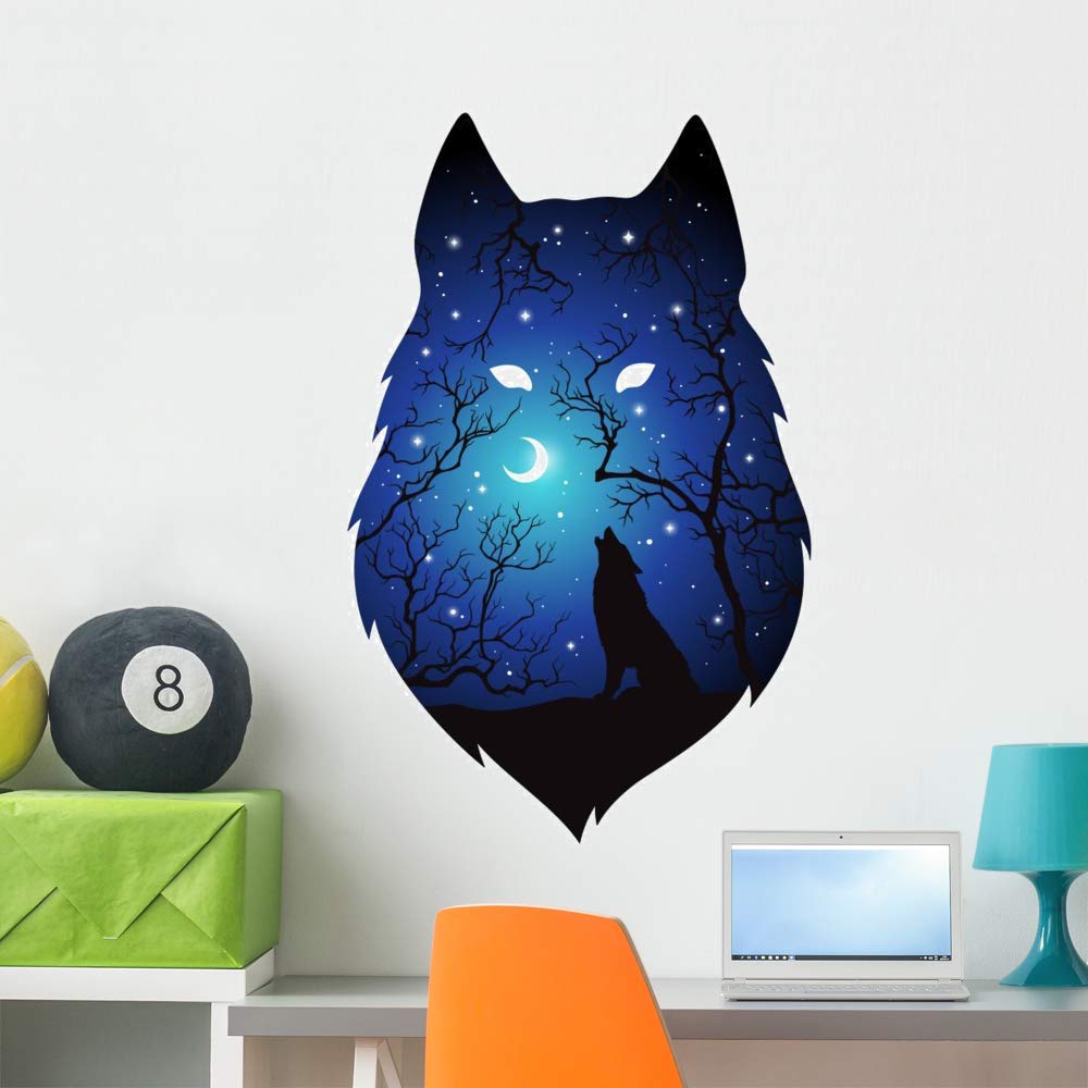 Tarantula Graphic Design For Cars - HD Wallpaper 