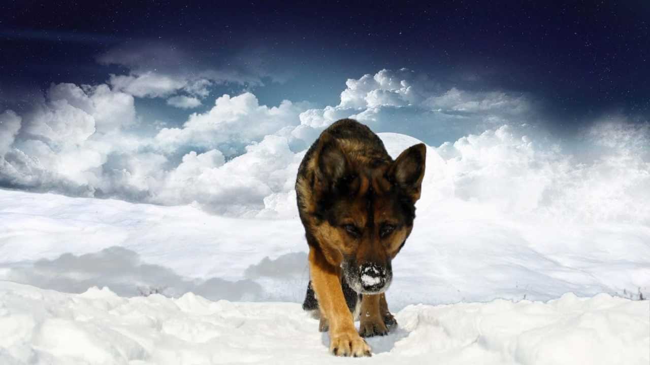 Cool White Sky Backgrounds - HD Wallpaper 