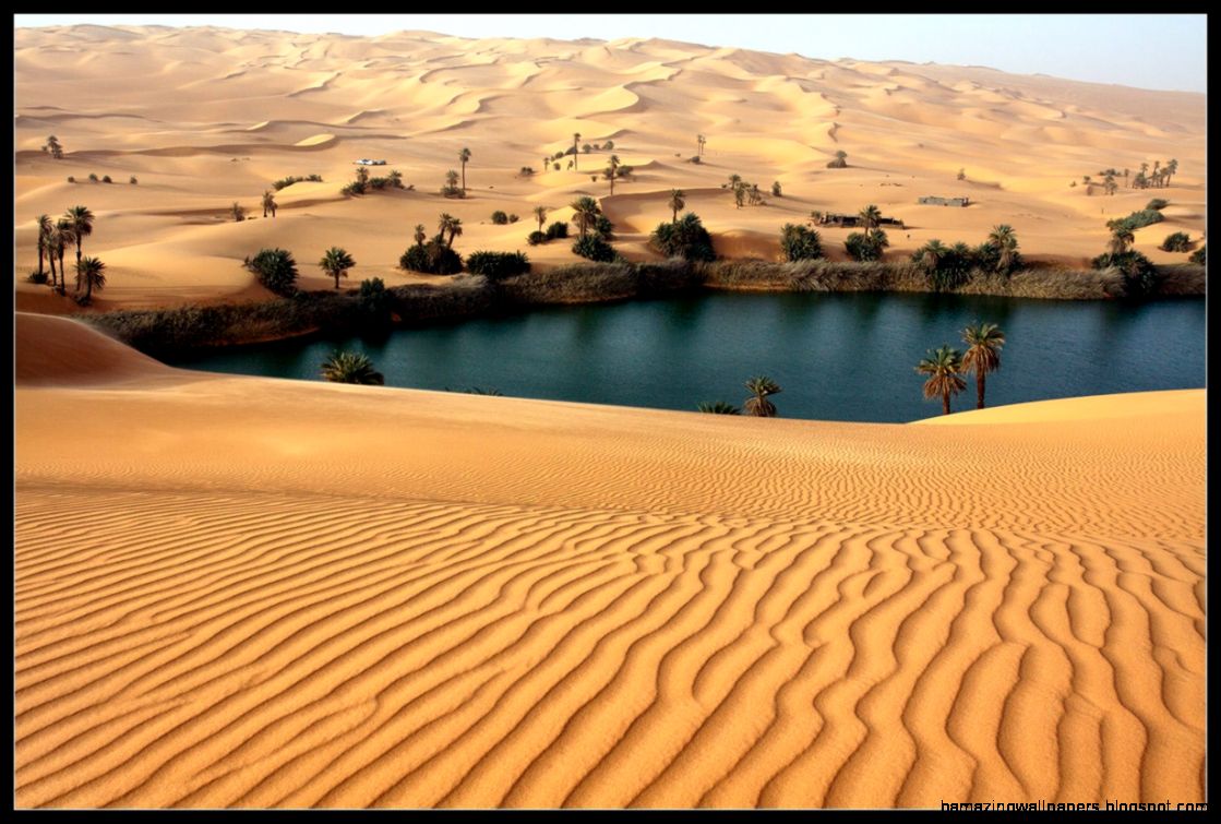 Desert Oasis Facts Related Keywords Suggestions Desert - Oasis Of Sahara Desert - HD Wallpaper 