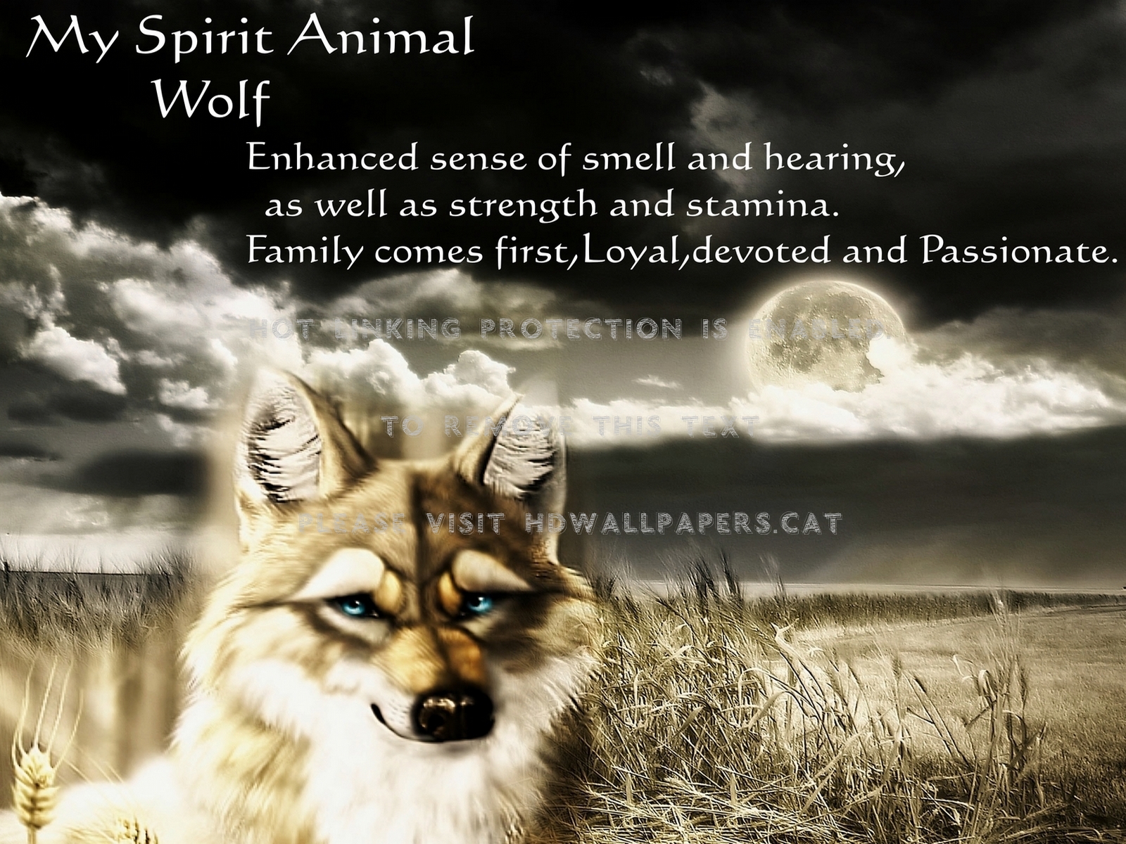 Spirit Animal For Tony Friends 3d - Saarloos Wolfdog - HD Wallpaper 