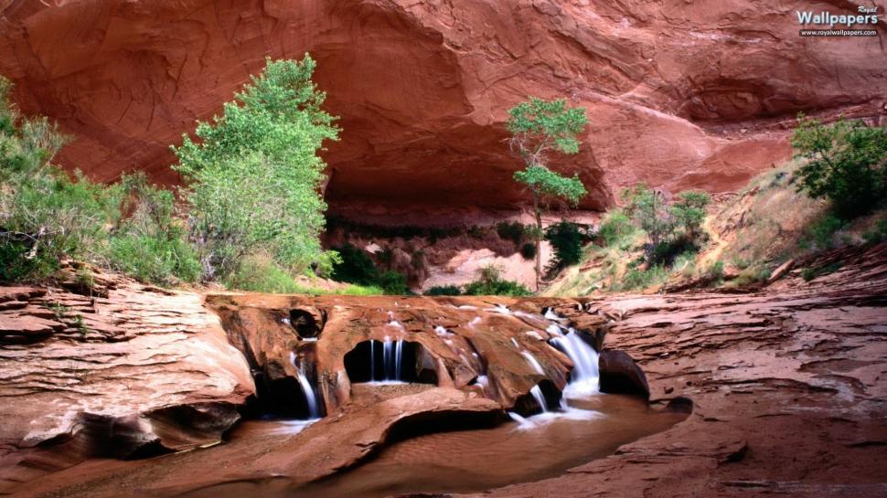 Desert Oasis Wallpaper,trees Hd Wallpaper,desert Hd - Desert Oasis - HD Wallpaper 