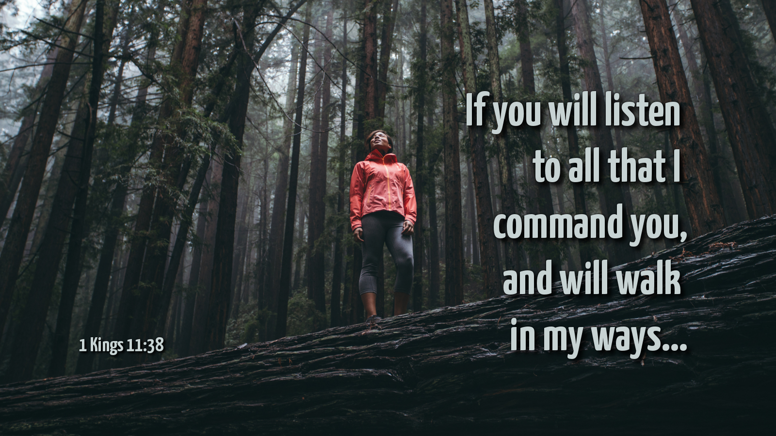 Image Result For 1 Kings - 1 Kings 19 1 15 - HD Wallpaper 