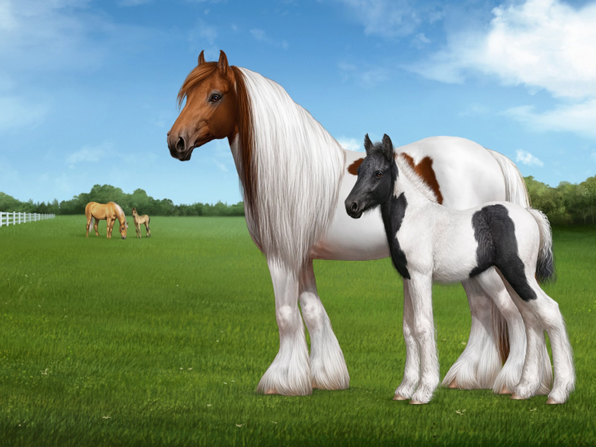 Hd Beautiful Wallpapers In Home - HD Wallpaper 