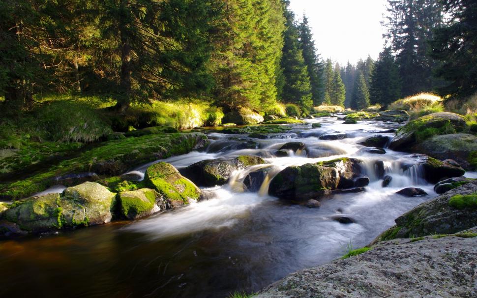 Czech Republic, Bohemia, Trees, River Wallpaper,czech - Mountain Stream - HD Wallpaper 
