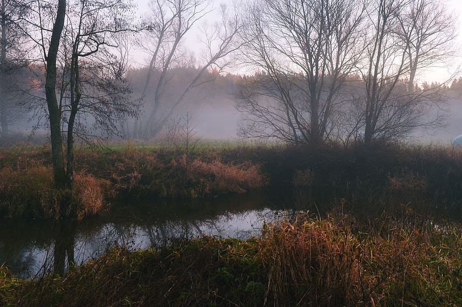 Bohemia Wallpaper Download - HD Wallpaper 