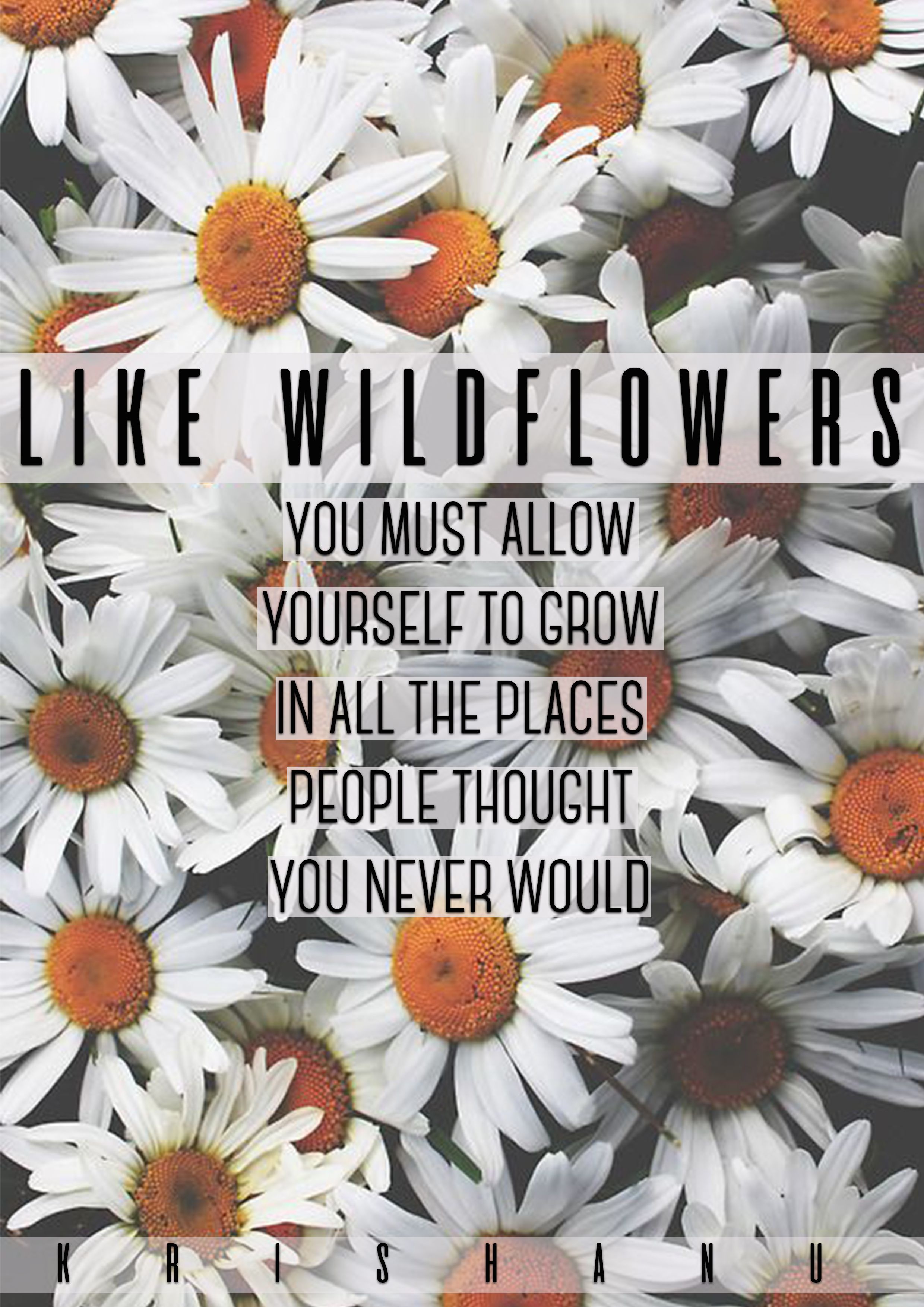 Flower Black And White - HD Wallpaper 