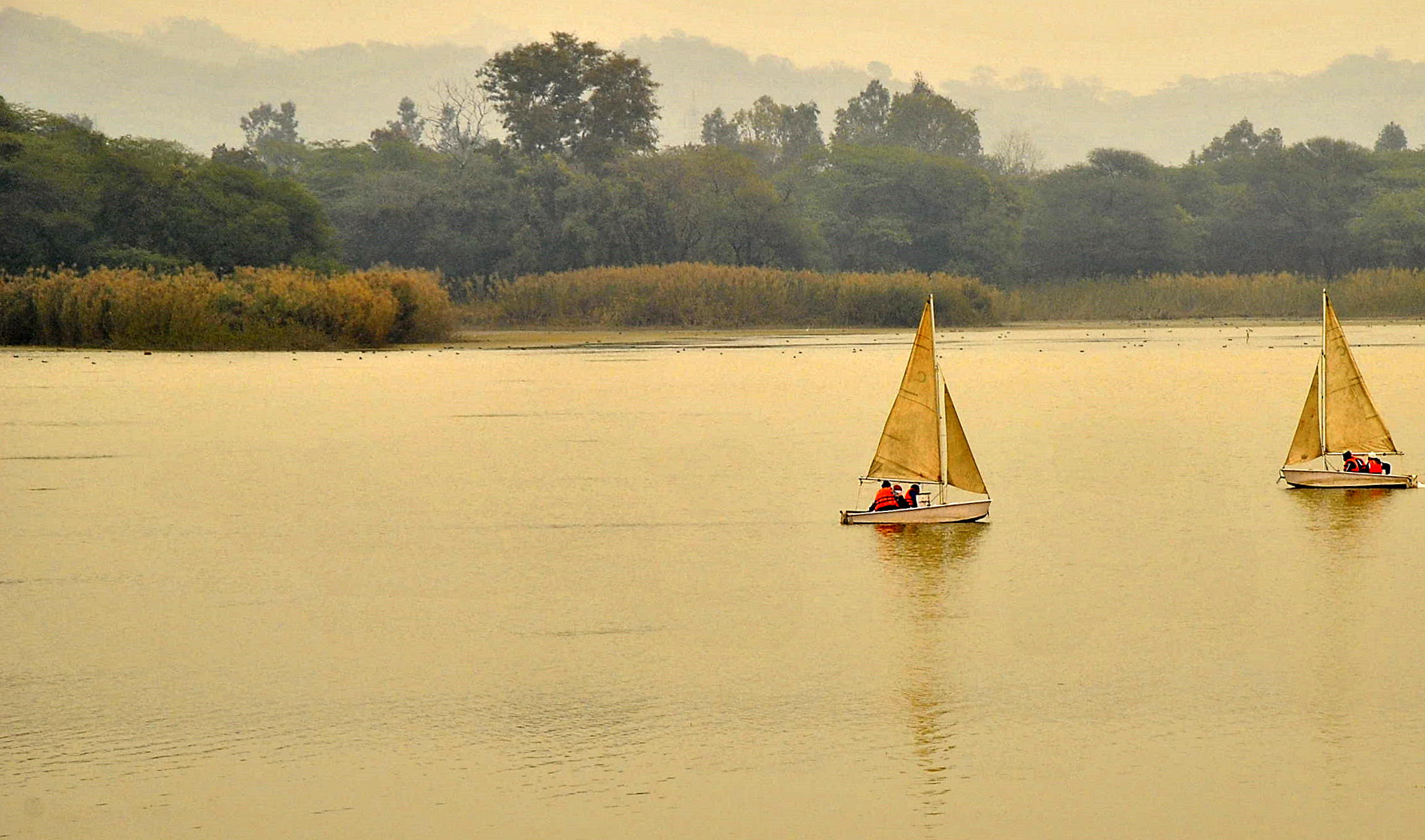 Sukhna Lake - Chandigarh Image - Sukhna Lake Chandigarh Resolution - HD Wallpaper 