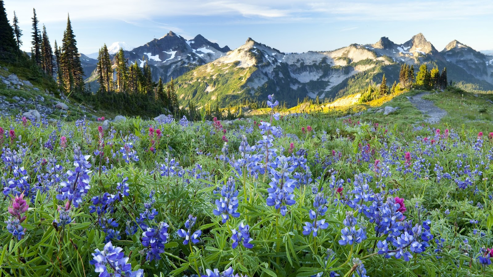 Beautiful Full Screen Nature - 1600x900 Wallpaper Beautiful Full Screen Nature - 1600x900 Wallpaper