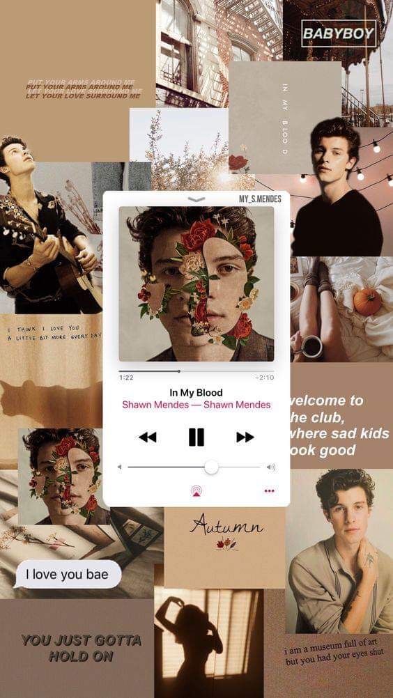 Lockscreen Shawn Mendes Aesthetic - HD Wallpaper 