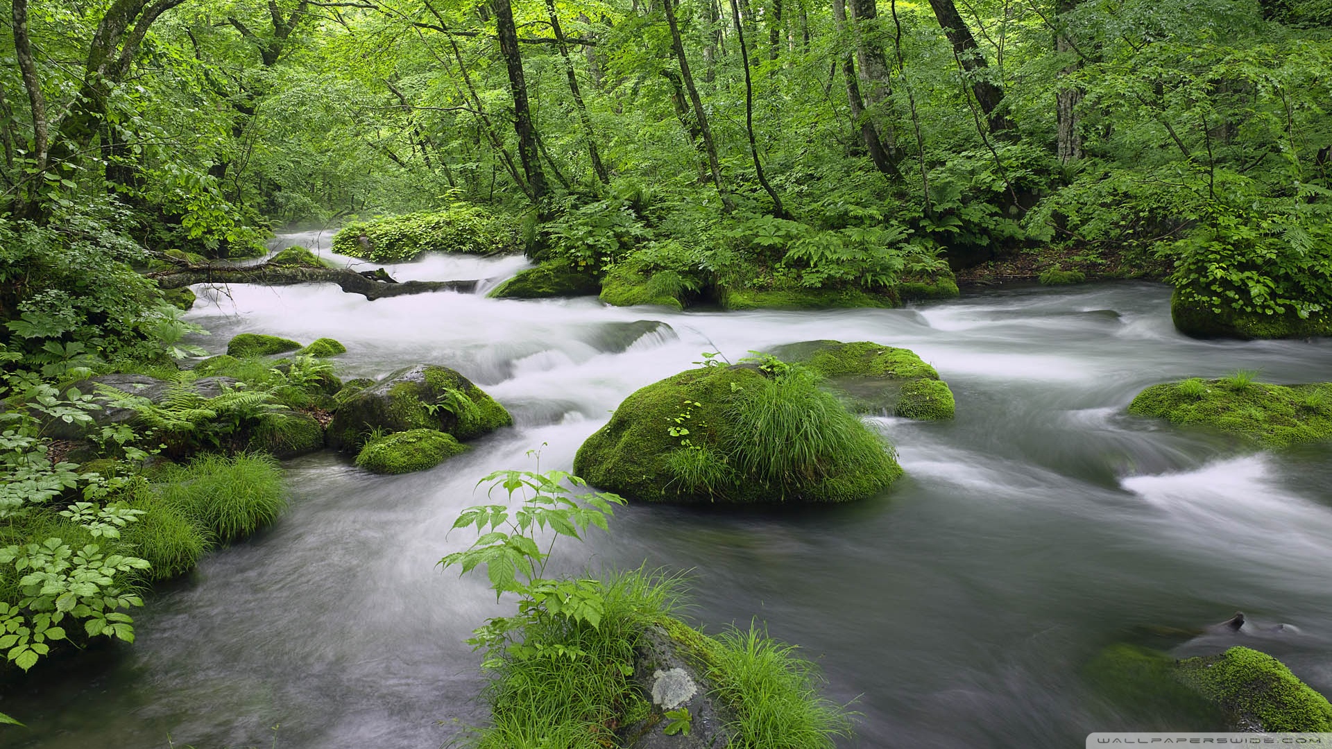River Pictures Wallpaper - HD Wallpaper 
