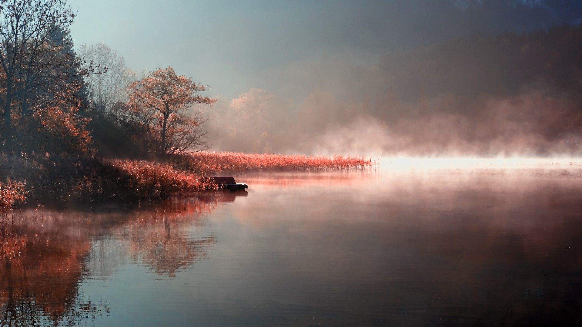 Foggy River Hd Wallpaper - HD Wallpaper 