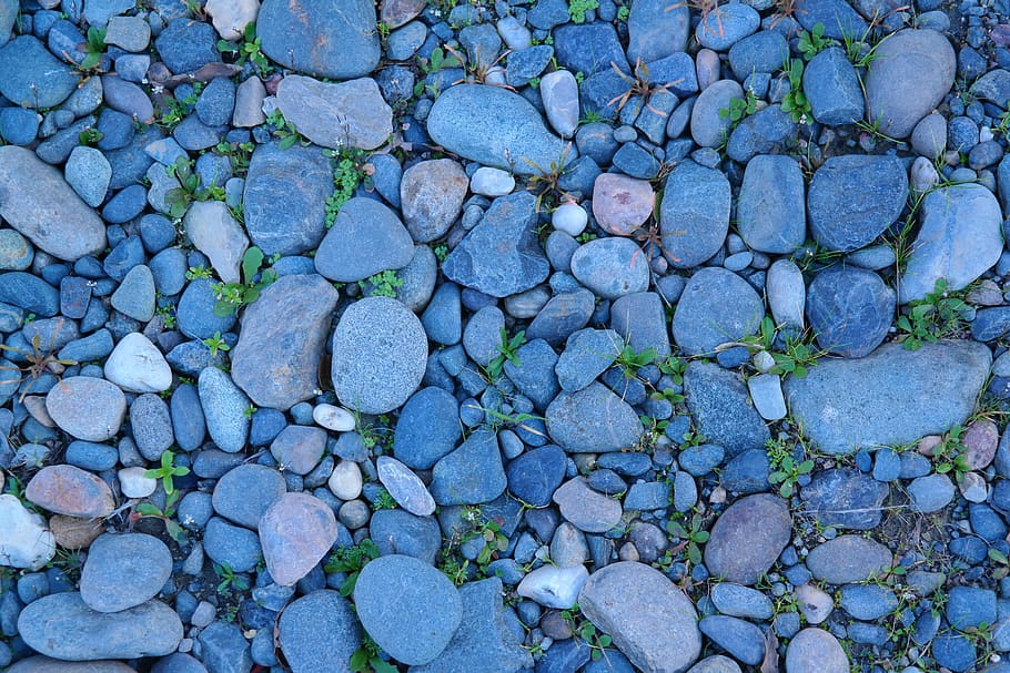 United States, Gold River, Blue, Green, Grass, Rocks, - HD Wallpaper 