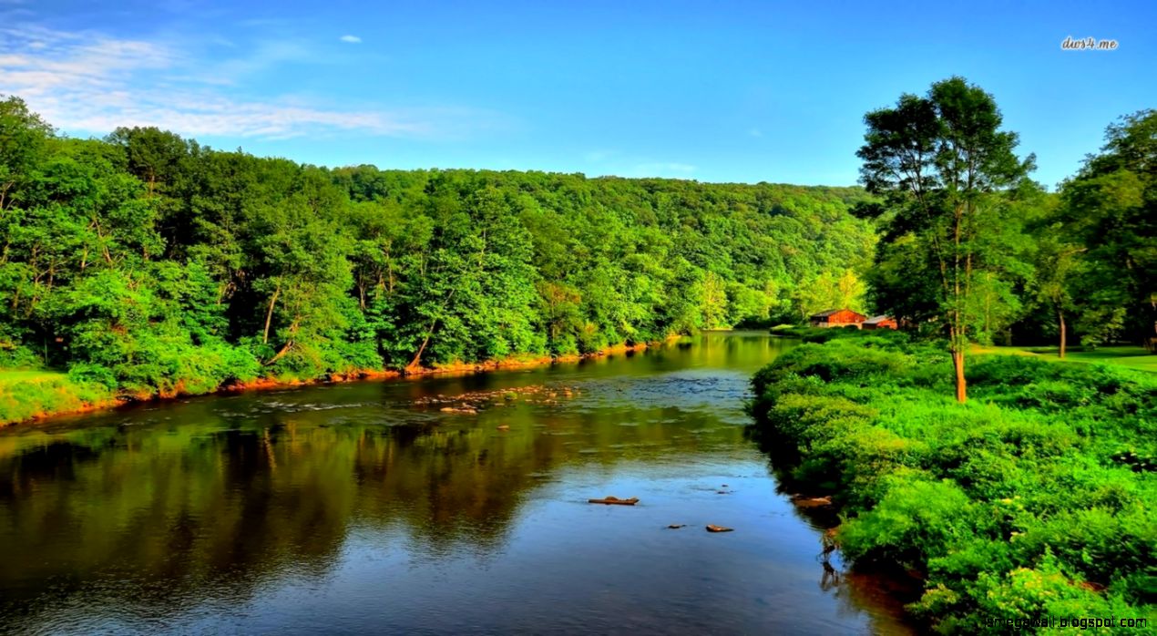 Jungle River Wallpaper Nature Wallpapers - Magnet Fishing Grappling Hooks - HD Wallpaper 