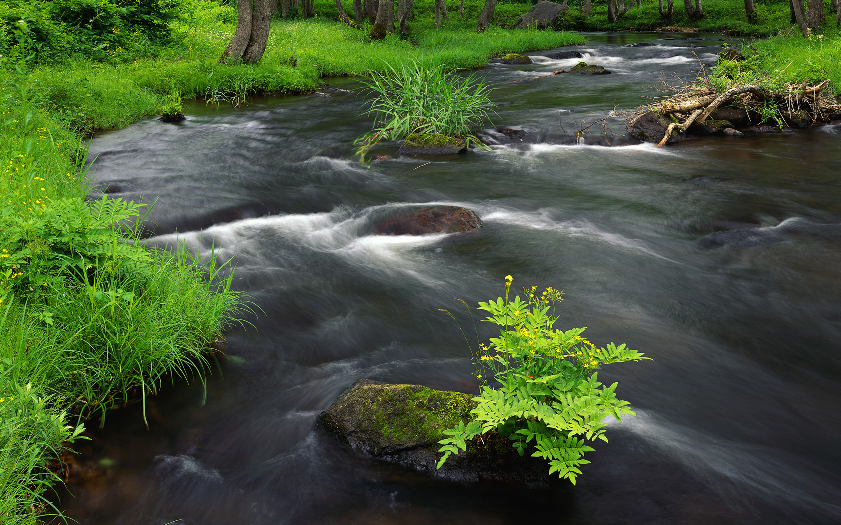 River Across Windows 7 Scenery Wallpaper - Scene For Water - HD Wallpaper 