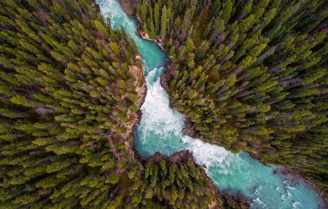 Photo Wallpaper Forest, Nature, River, The View From - Drone Forest Wallpaper  4k - 1332x850 Wallpaper 