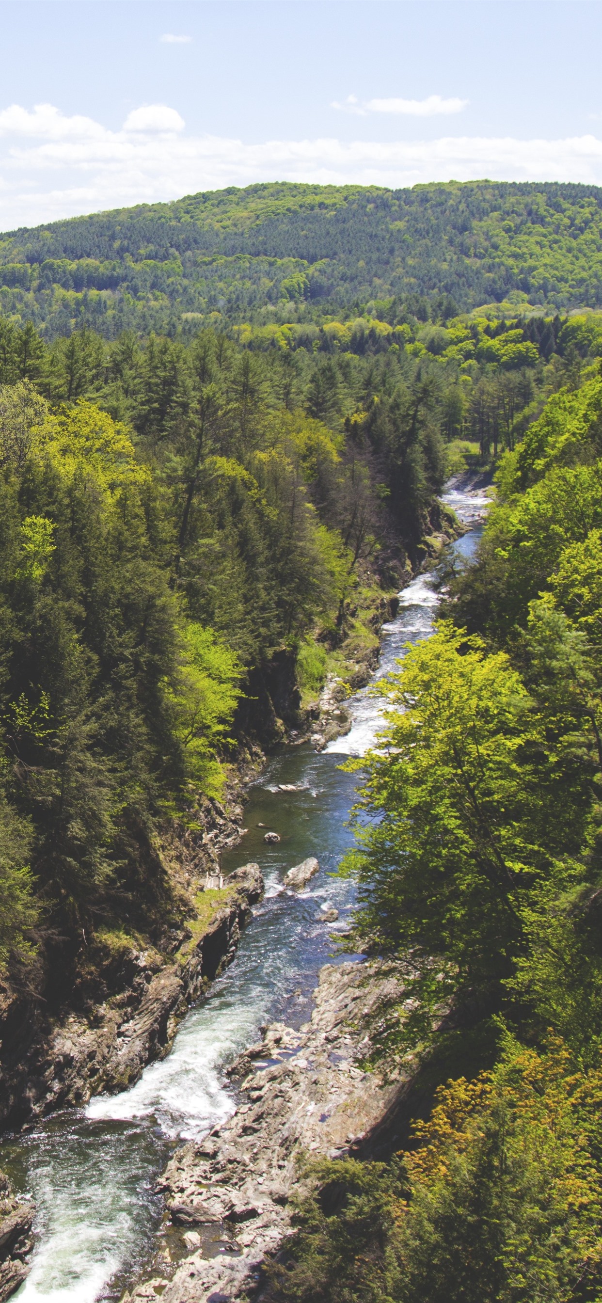 Iphone Wallpaper Forest, Trees, River, Nature Landscape - HD Wallpaper 