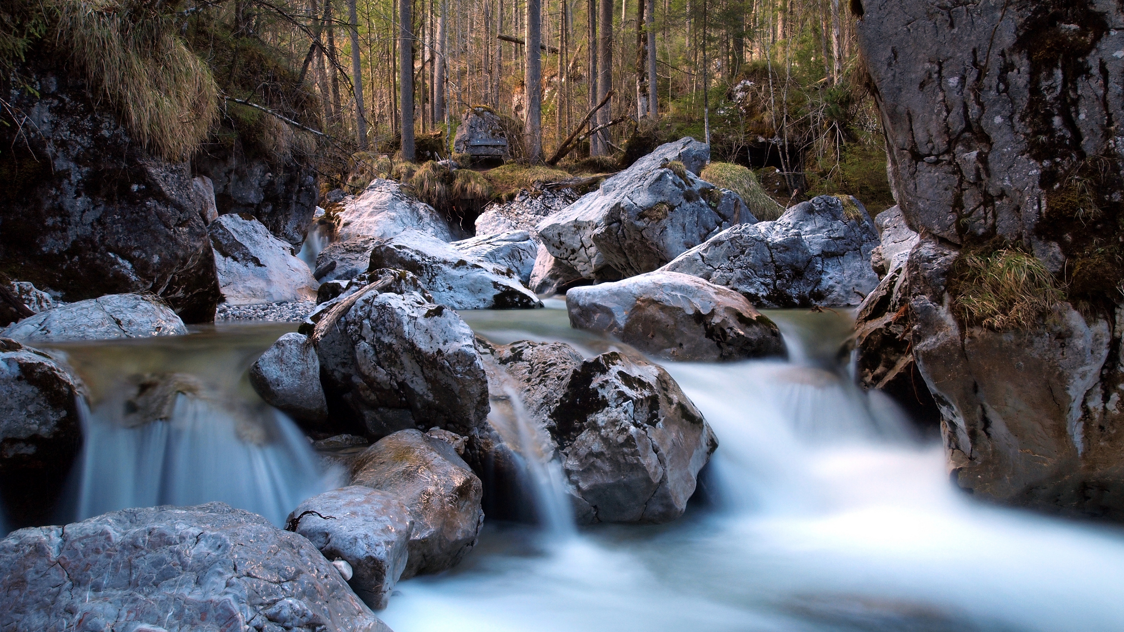 River Forest Rocks Nature 4k - Natural Wallpapers Rocks - HD Wallpaper 