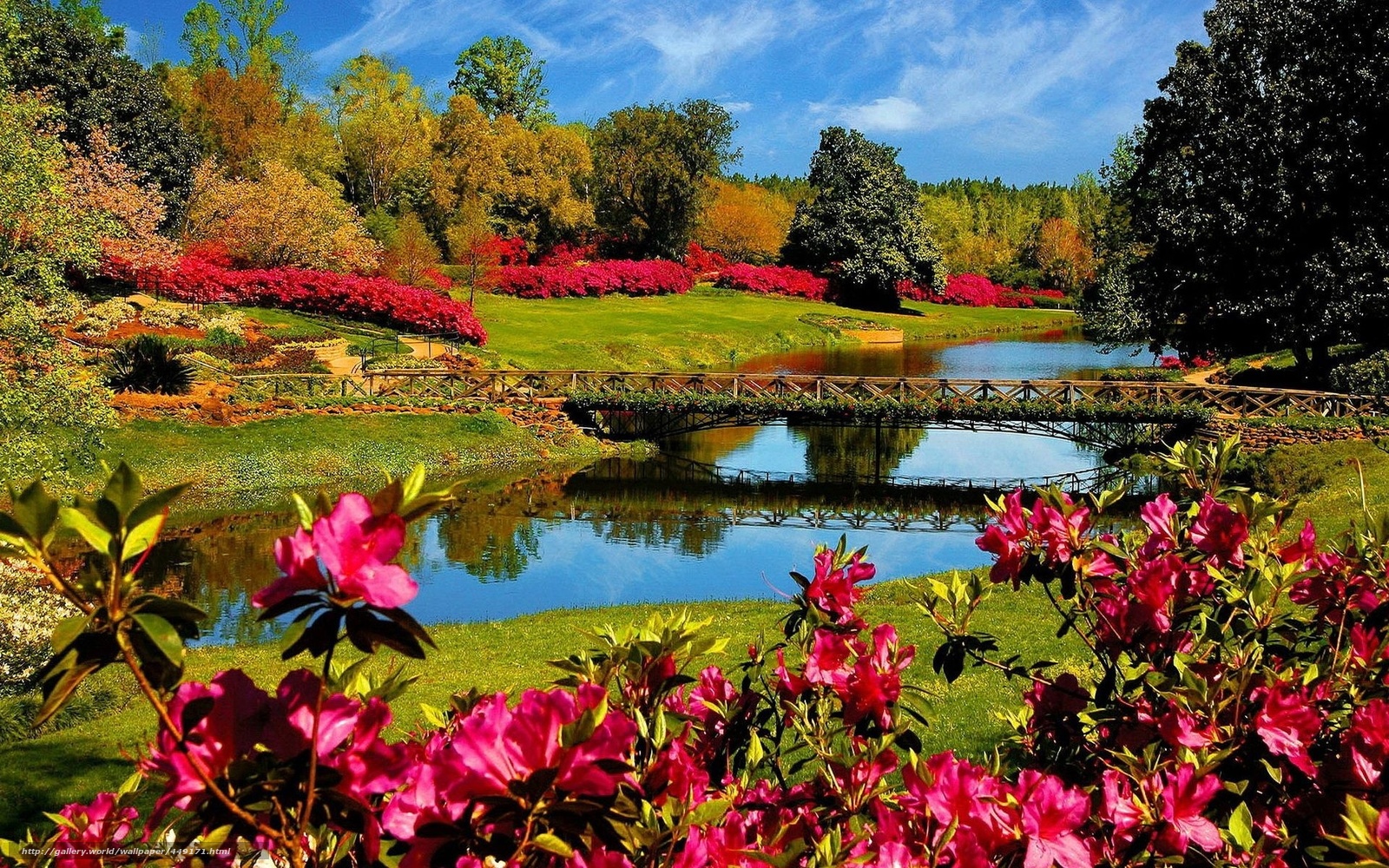 Download Wallpaper Small River, Bridge, Rhododendrons, - Beautiful Spring  Scenery - 1600x1000 Wallpaper 