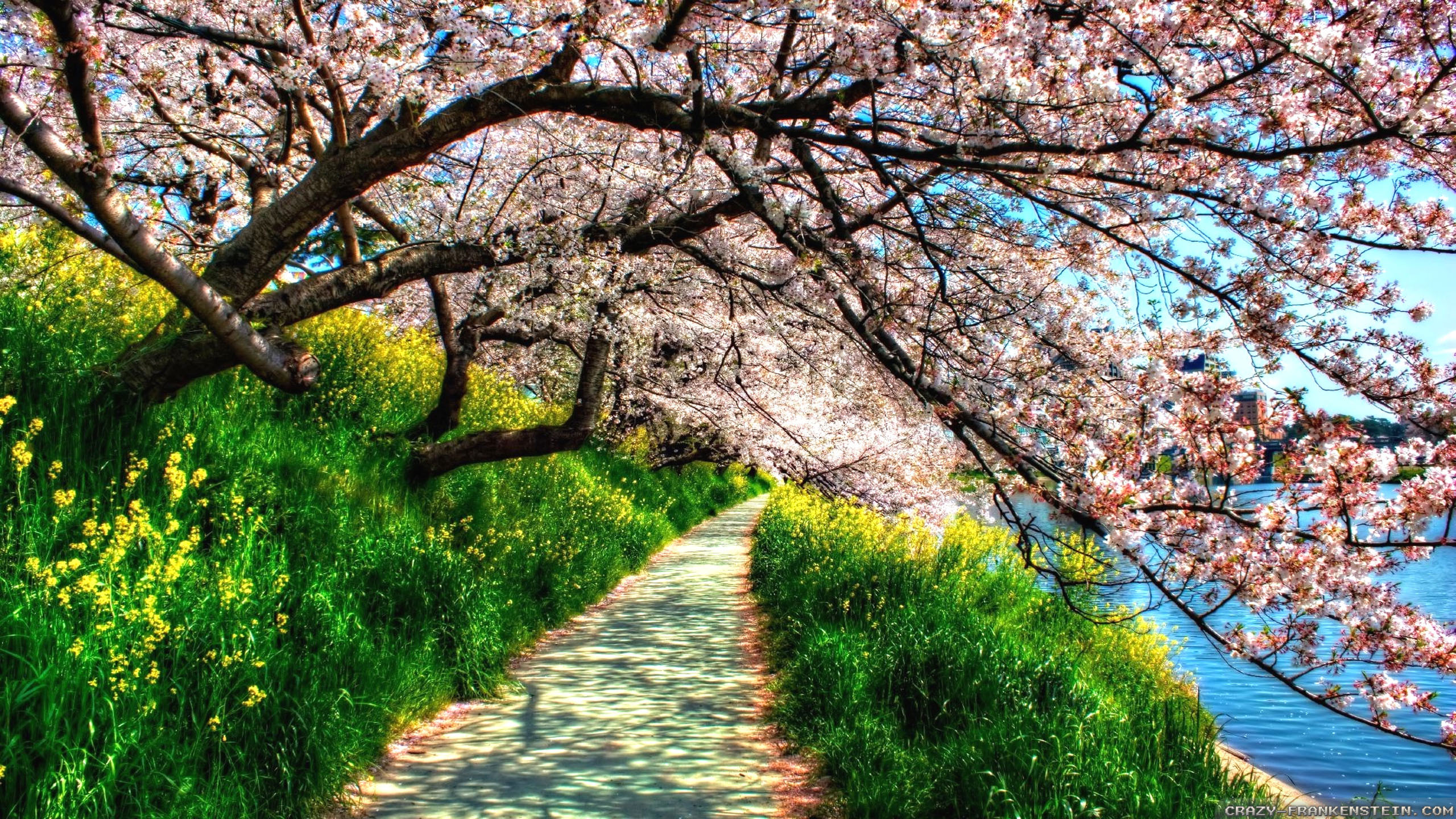 Spring Wallpaper Hd - HD Wallpaper 