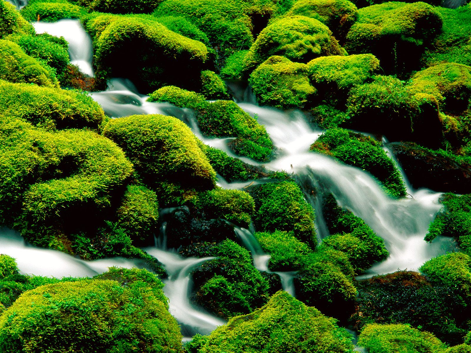 Nature Beautiful River Wallpaper - Nature Ppt In Hindi - HD Wallpaper 