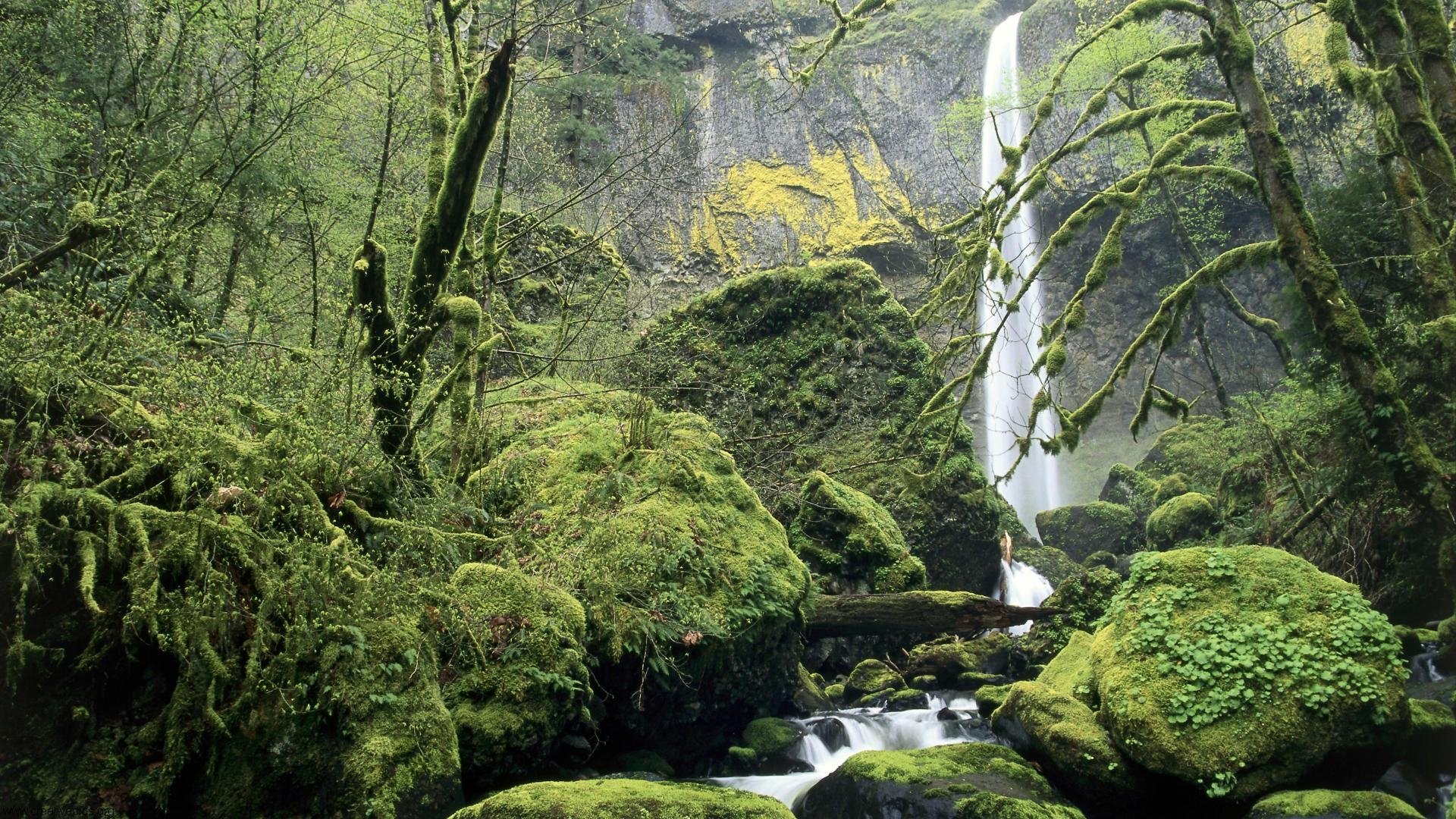 Oregon Hd Wallpapers Backgrounds Wallpaper - Columbia River Gorge - HD Wallpaper 