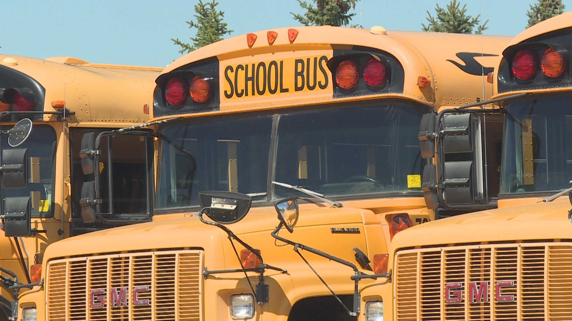 School Bus - HD Wallpaper 