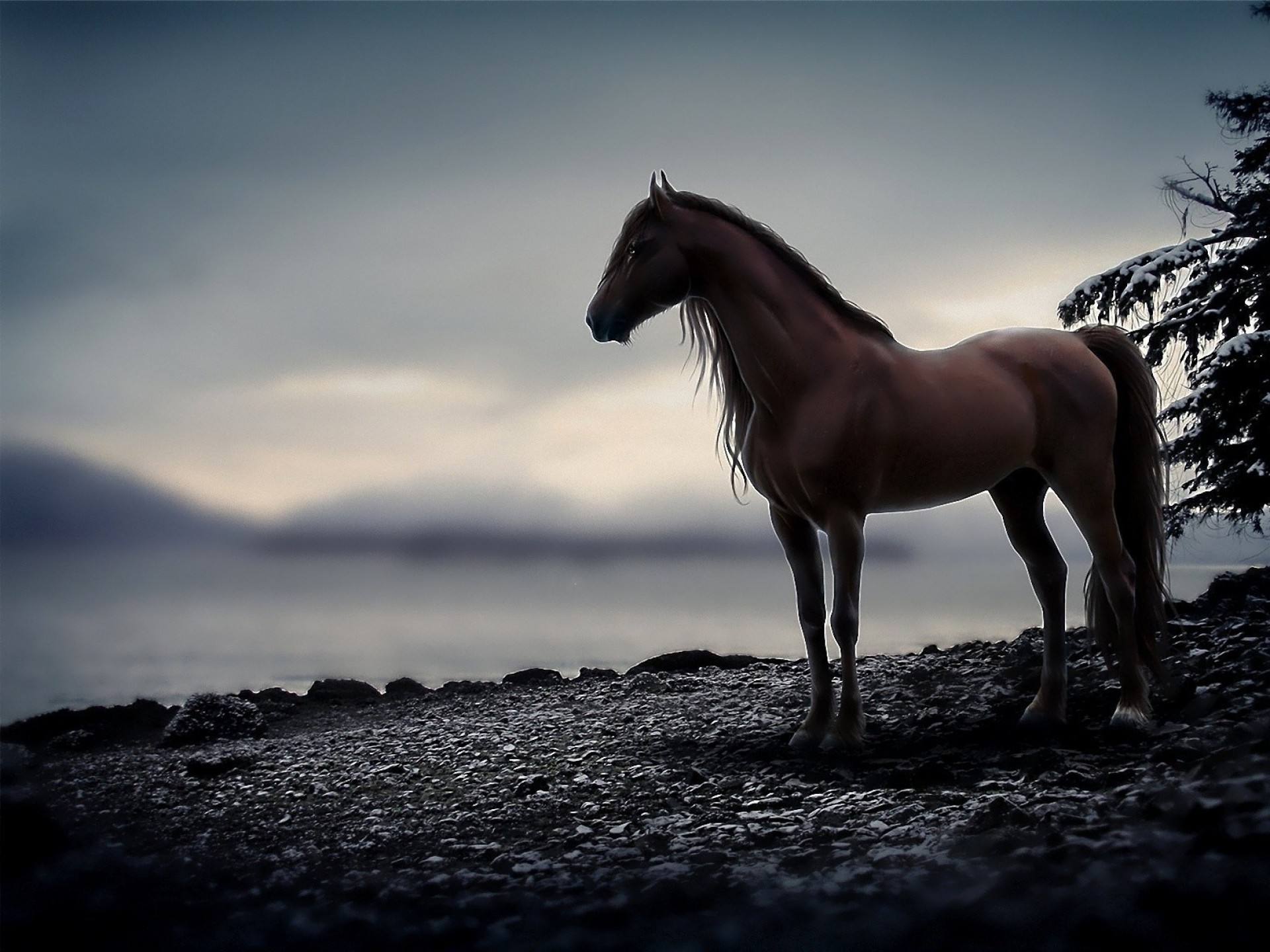 Animals, Mobile Wallpapers, Horse, Horses Dangerous, - Best Danger Background Hd - HD Wallpaper 