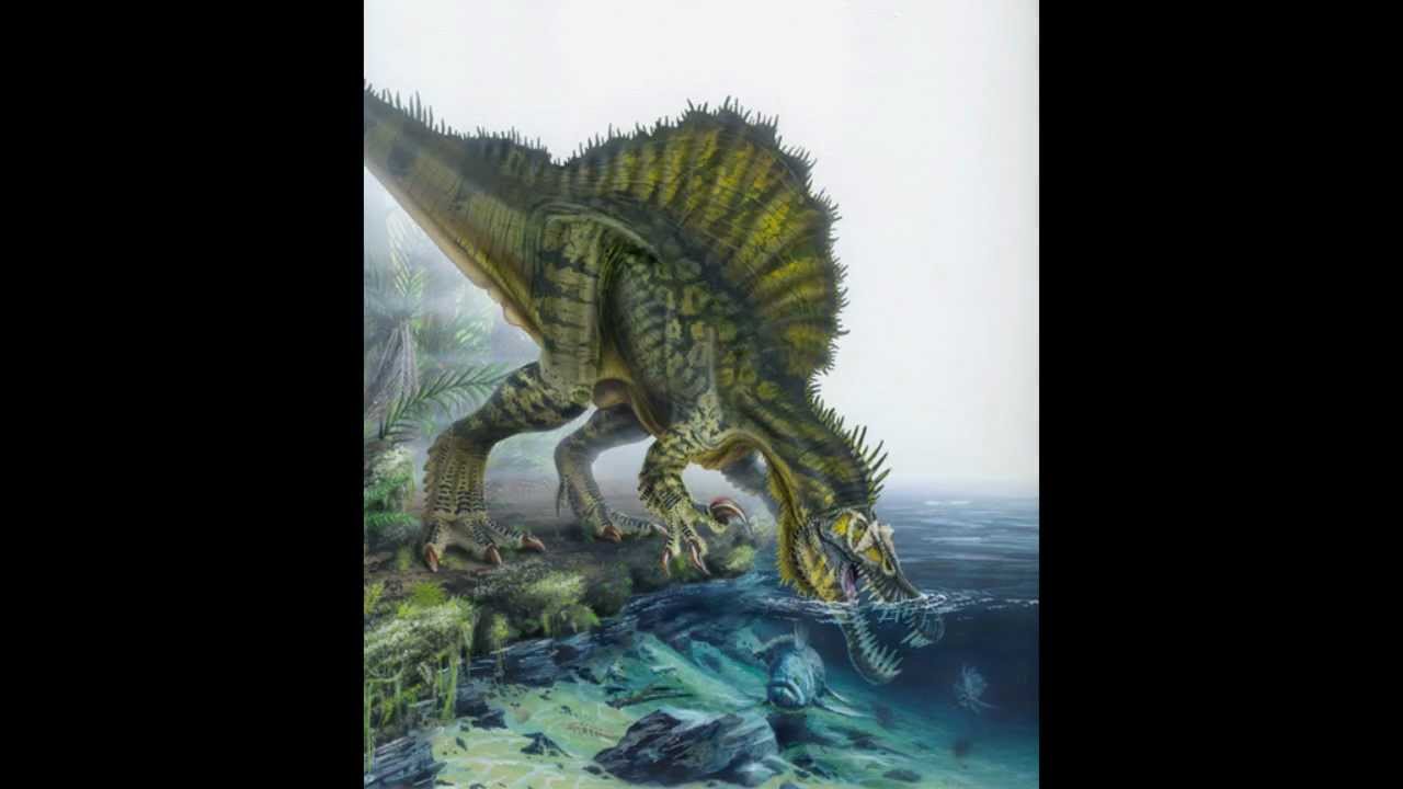 Spinosaurus Beautiful - HD Wallpaper 