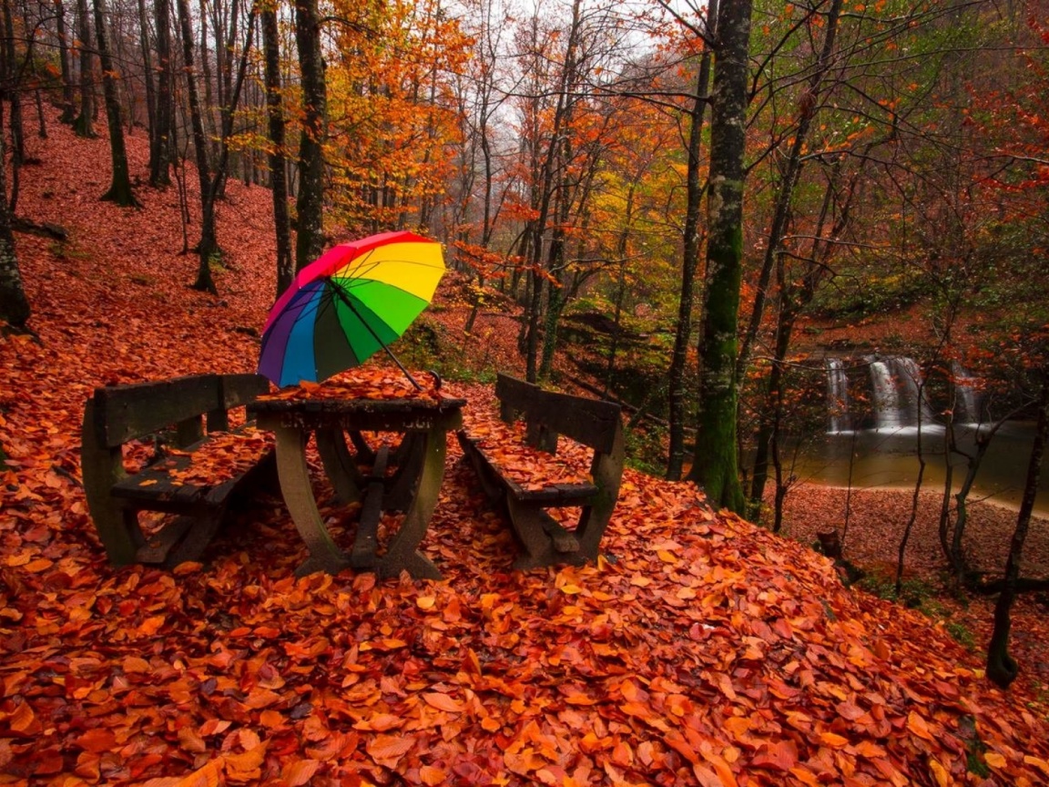 Autumn - HD Wallpaper 