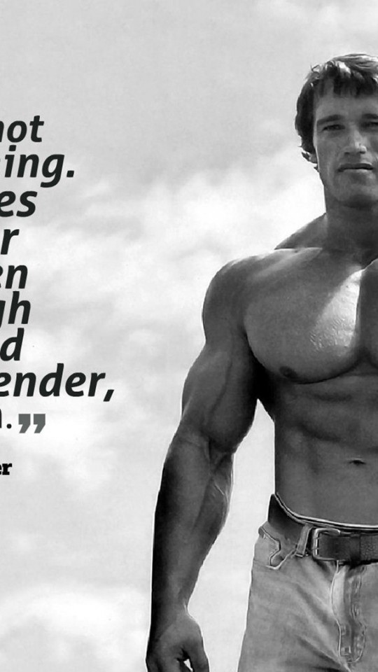 Arnold Schwarzenegger Body Build - 540x960 Wallpaper 