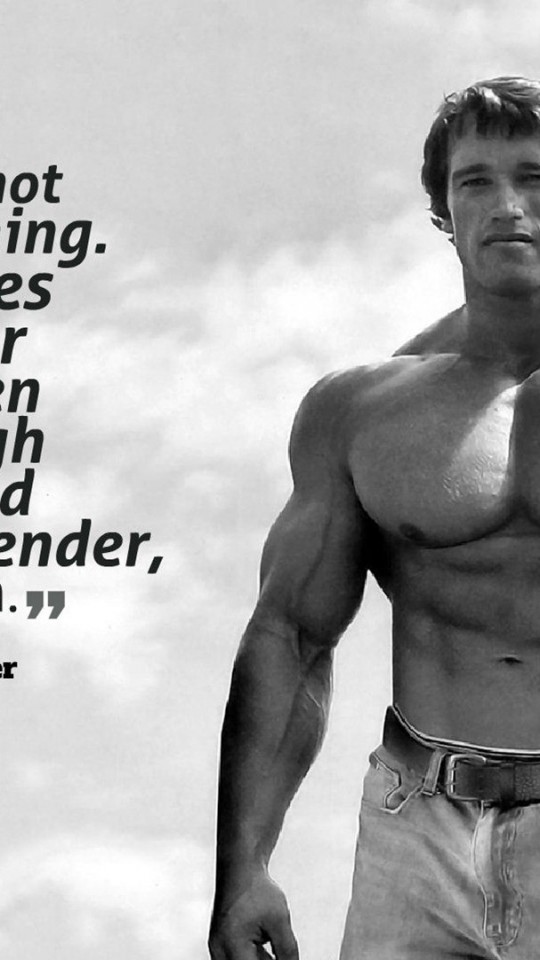 Arnold Schwarzenegger Body Build 540x960 Wallpaper teahubio
