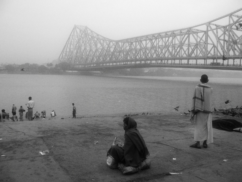 Kolkata, West Bengal - Mallick Ghat Flower Market - HD Wallpaper 