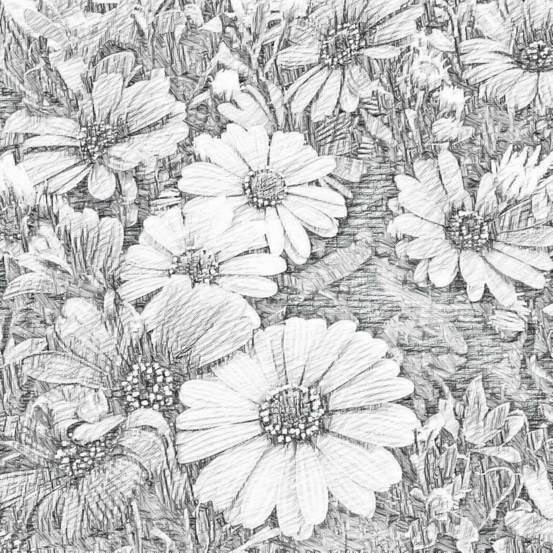 Sketch,free Pictures, Free Photos, Free Images, Royalty - Daisy - HD Wallpaper 