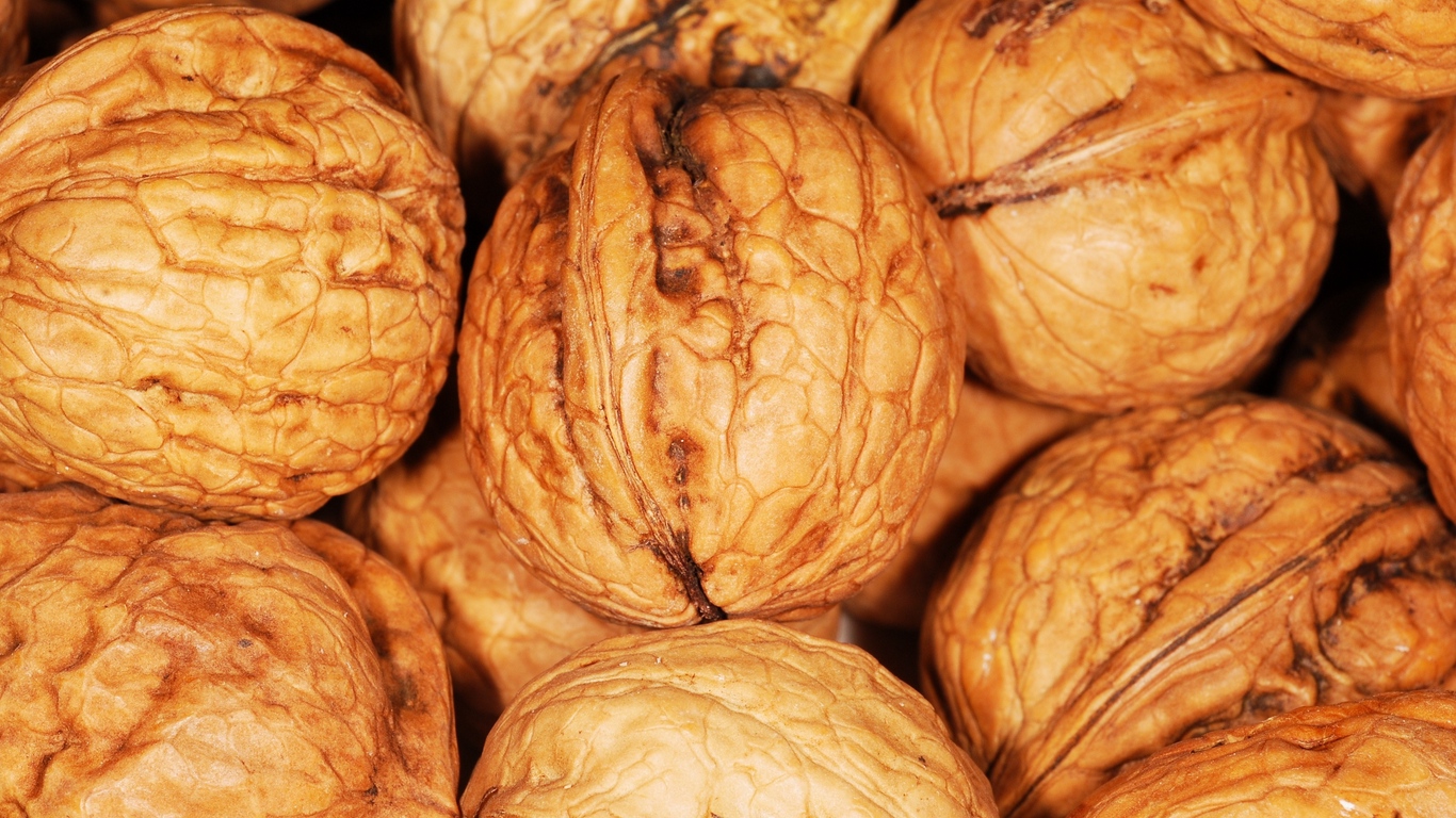 Wallpaper Walnut, Shell, Nuts - Shopping Place In Srinagar - HD Wallpaper 