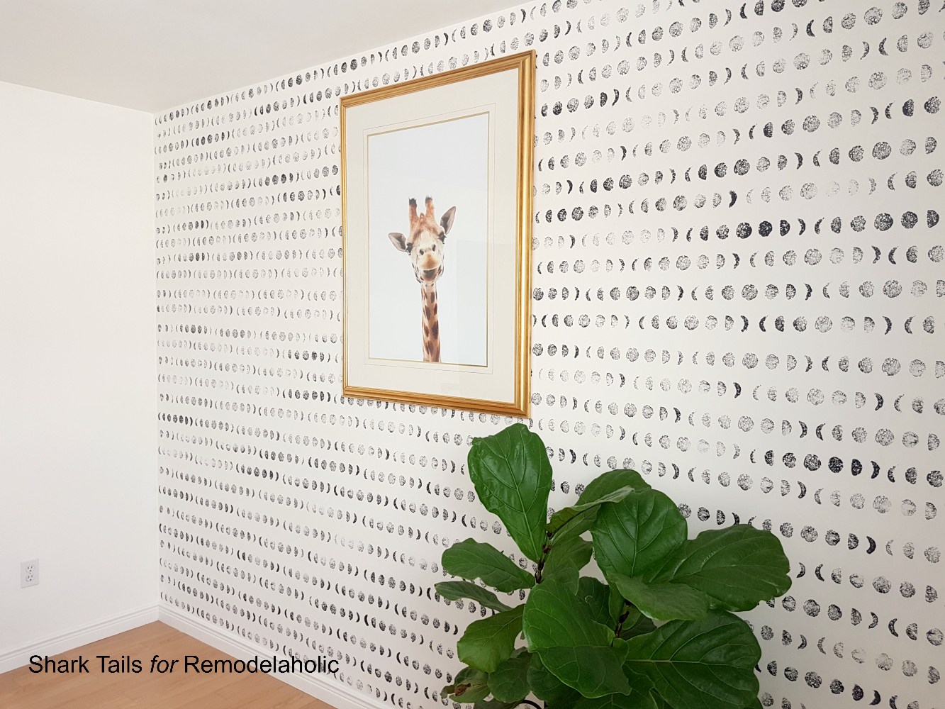 Spongestampedwallpaper Sharktails - - Book - HD Wallpaper 