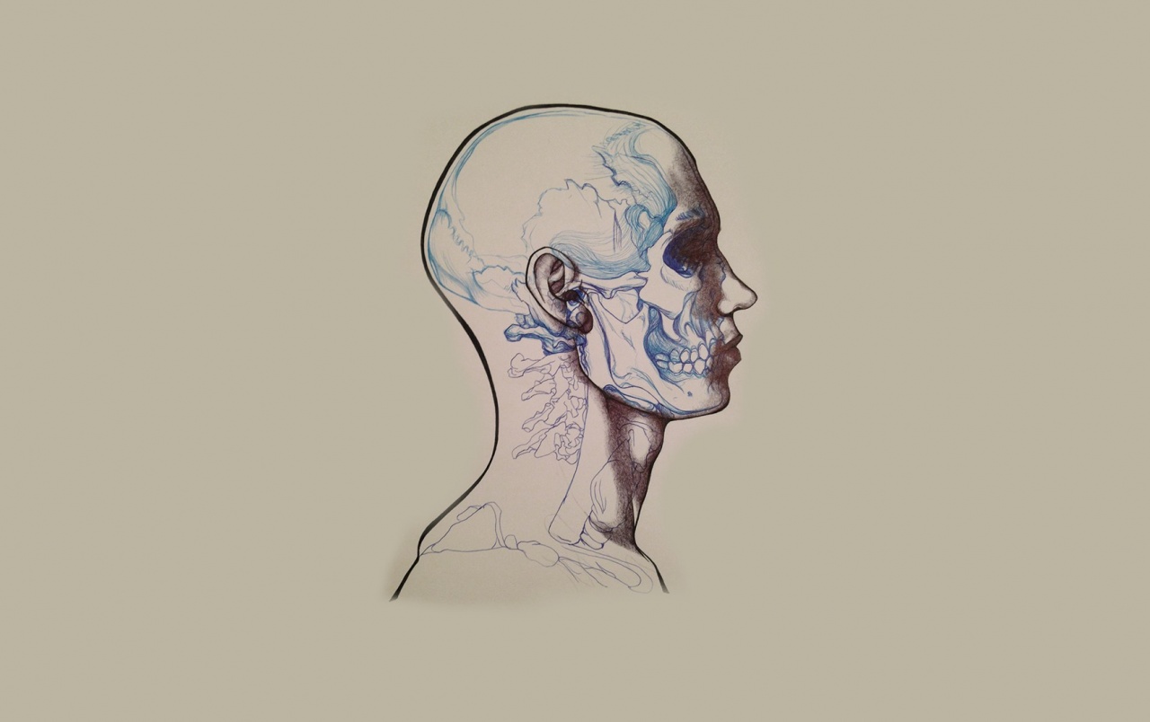 Anatomy Drawing Wallpapers - Sketch Header For Twitter - HD Wallpaper 